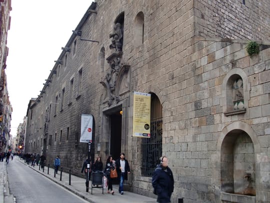 Over 1,600 cleanliness complaints in Raval since January