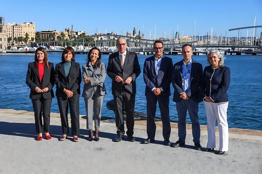 Port of Barcelona to get 80MW for dock electrification