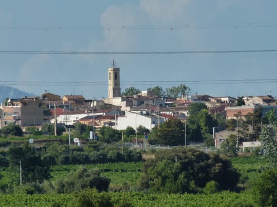 Sant Cugat Voters Prepare for 29 November Polls