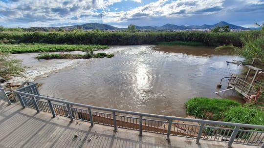 Aerial view of the Llobregat riverfront in Sant Joan Despí showing a tree-lined path alongside the river, with urban areas visible in the background.