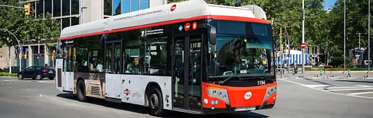 Sinkhole disrupts bus 183 in Torre Baró