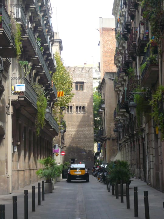 Two Men Arrested in Ciutat Vella Watch Theft