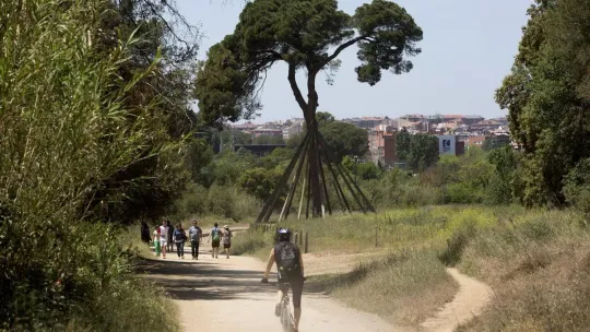 African Swine Fever Prompts Forest Bans in 64 Catalan Towns