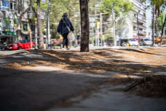 Cracks and uneven pavement on Rambla Guipúscoa in Barcelona, with a fenced-off area and trees.