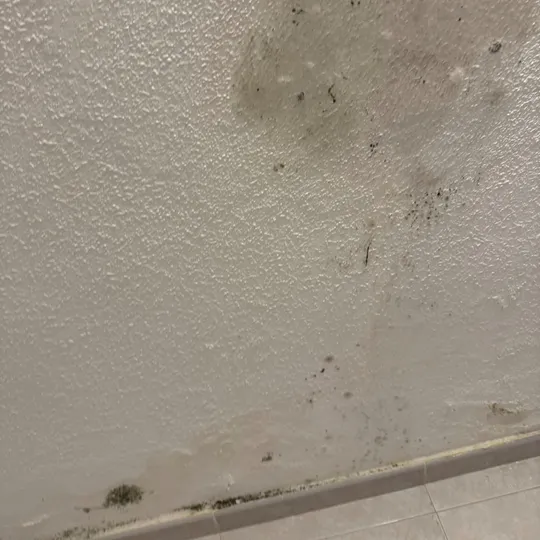 Damp patches and mould growth on a rental property wall in Barcelona