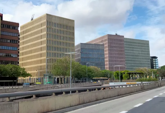 Barcelona Court Orders Bankruptcy of IT Firm