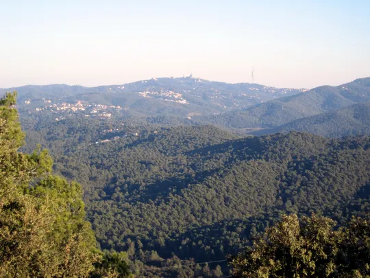 Court Upholds Bike Limits in Collserola Park