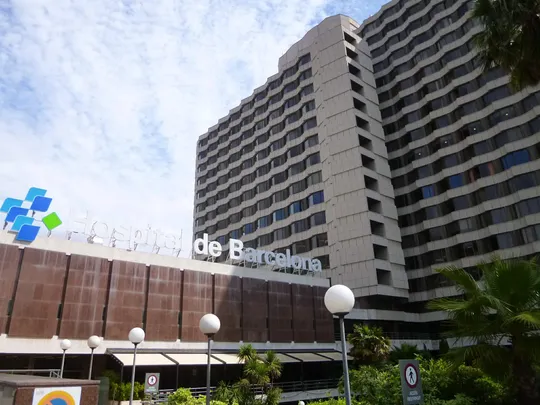 Doctor Summoned in First-Ever Catalan Language Case