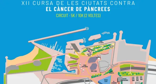 Pancreatic Cancer Race Set for 13 Dec