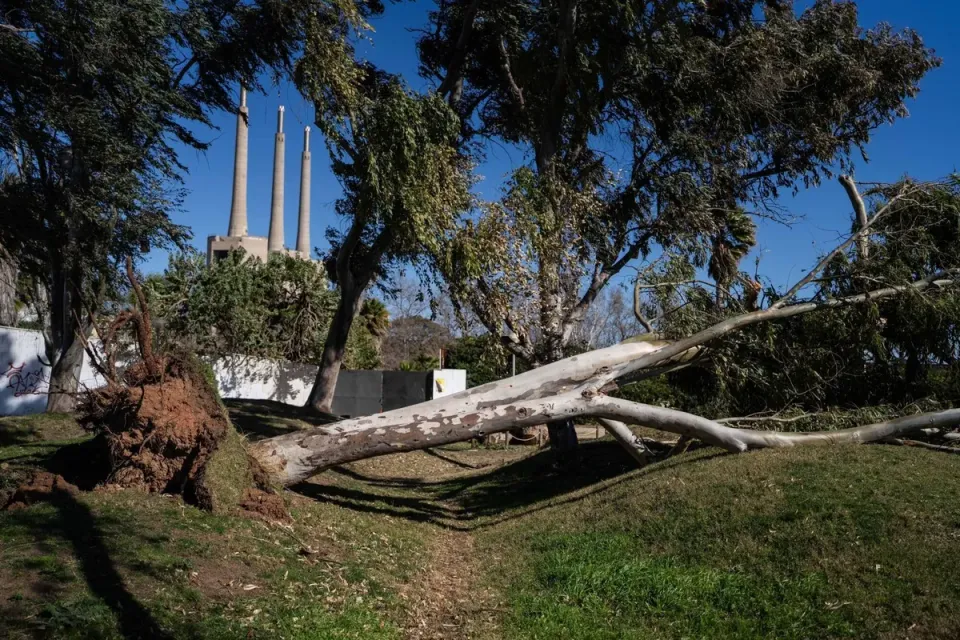 Three Chimneys Soil Contamination: Toxic Metals Found in Sant Adrià Park