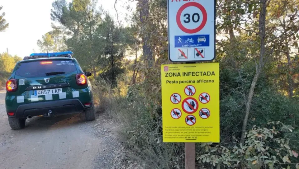 African Swine Fever Confirmed in 50 Wild Boar Deaths in
