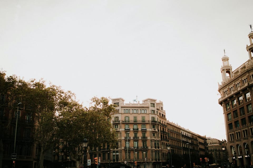 Photo by Maria Clara Diab on Pexels