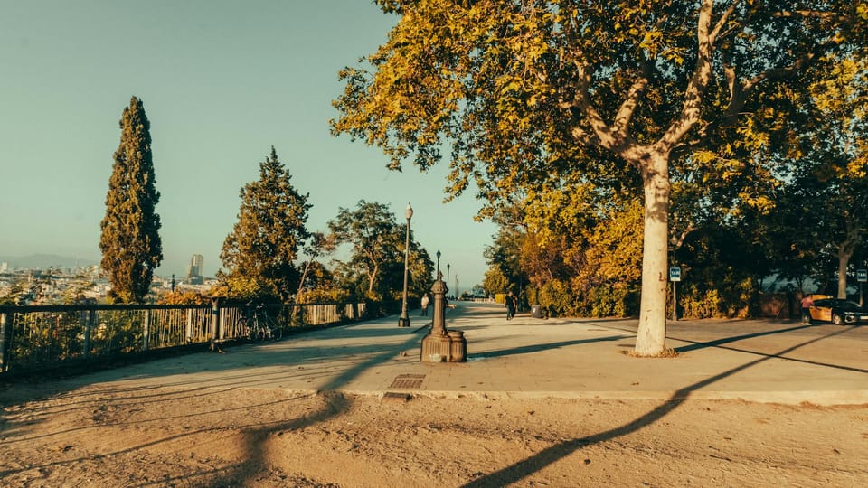 Photo by Stiven Gonzales on Pexels