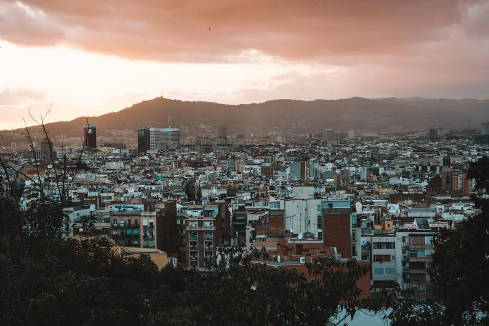 Photo by Alex Azabache on Pexels