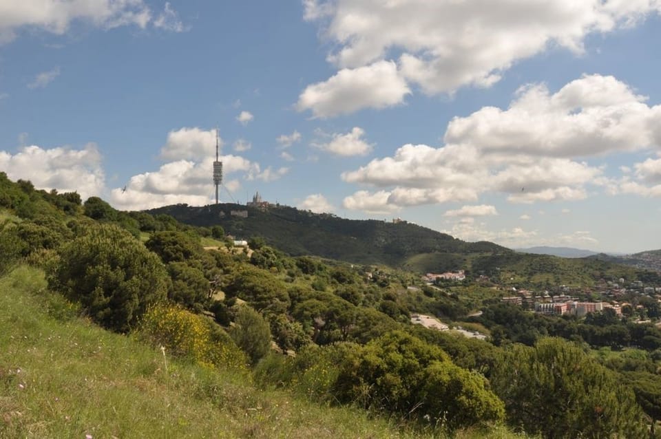 Workers clearing dry vegetation in a forest near Barcelona, with urban buildings visible in the background.
