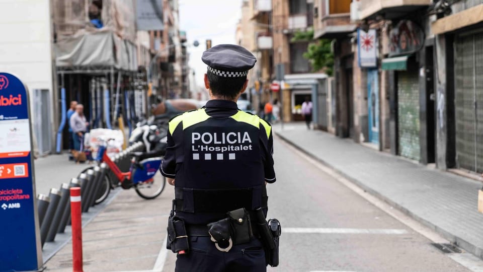 Precinten un bar de l'Hospitalet per una plaga de paneroles i greus infraccions