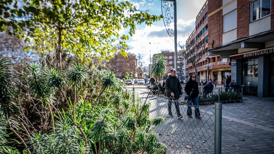 Architectural rendering of a future green urban corridor with trees, pedestrian paths, and public transport lanes in Barcelon