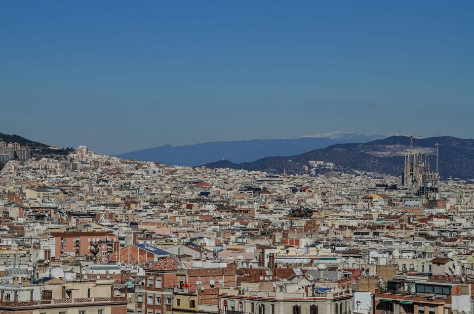 El Teu Espai Becomes Leading Psychology Centre in Santa Coloma