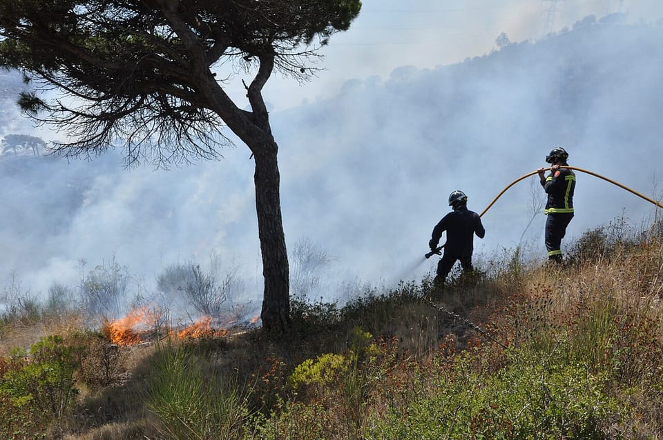 Man arrested after Tiana wildfire prompts lockdowns