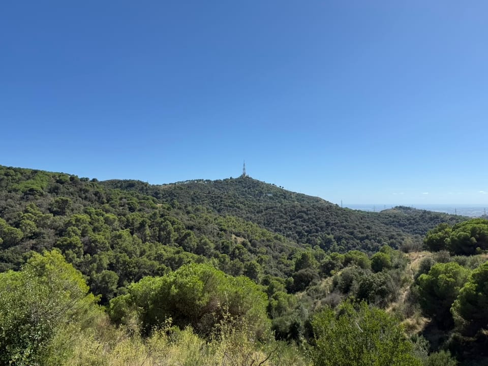 A closed entrance to the Parc Natural de la Serra de Collserola shows information about access restrictions linked to African swine fever controls.