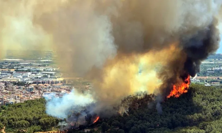 Smoke rises from a wildfire in Gavà, Baix Llobregat, after emergency alerts told about 6,000 residents to shelter indoors.