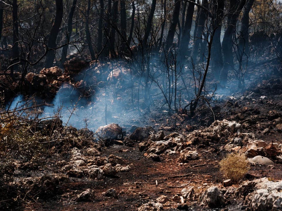 Residential buildings in the Flamingos area of Benahavís after wildfire evacuations on the Costa del Sol