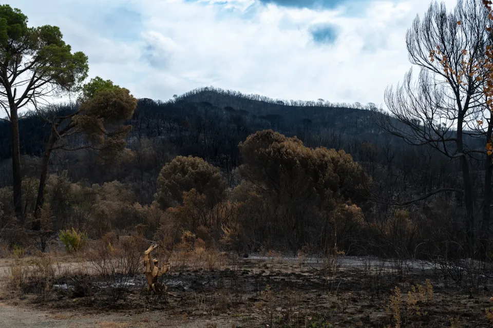Fresh wildfires keep pressure on Catalonia crews