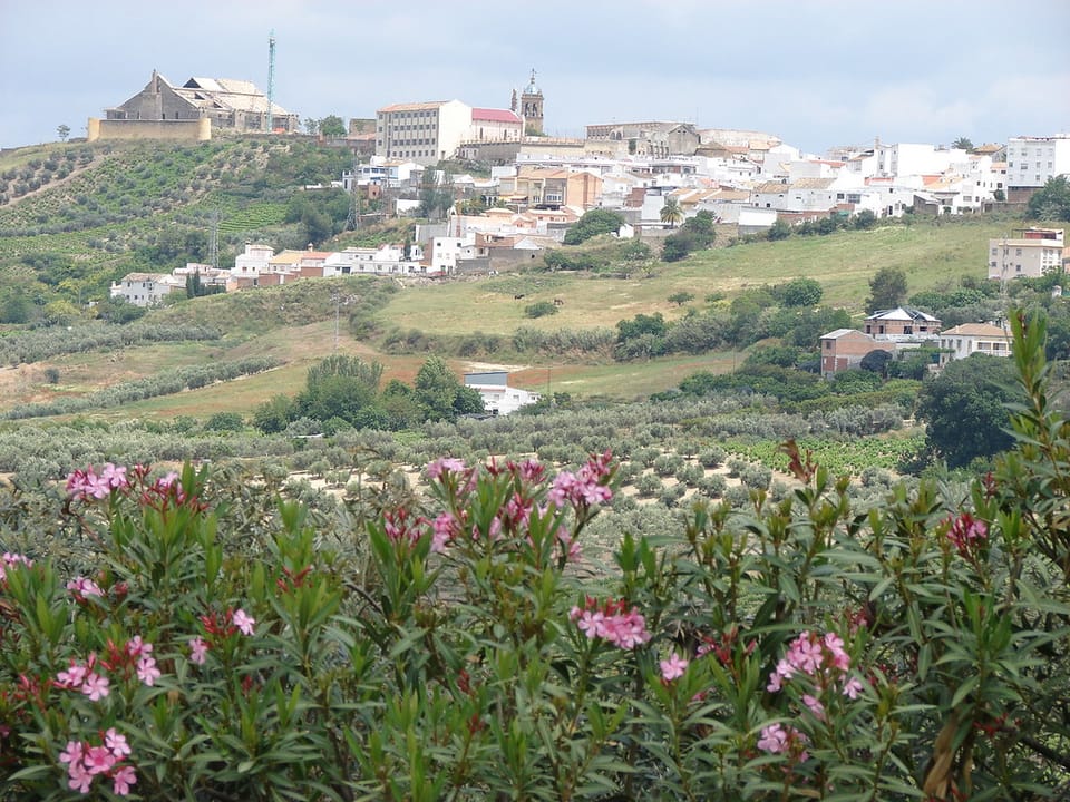 Montilla defends 2006 Statute’s continuing relevance