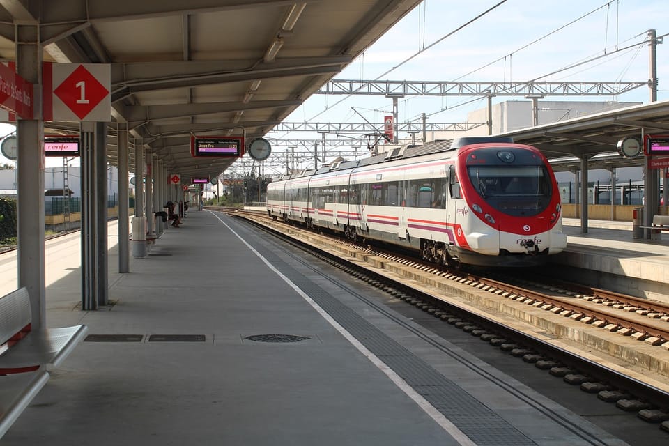 A dog travelling with its owner on a Renfe service from Barcelona.