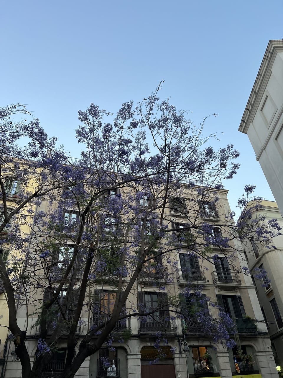 Placa Del Sol, Gracia, Barcelona