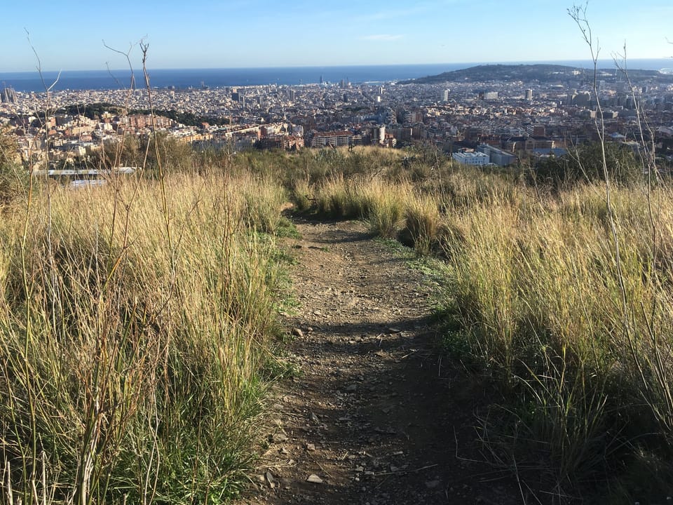 Barcelona Reviews Mountain Neighbourhood Planning for Fire Safety