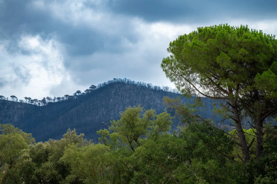 Castelldefels on Forest Fire Pre-Alert Today