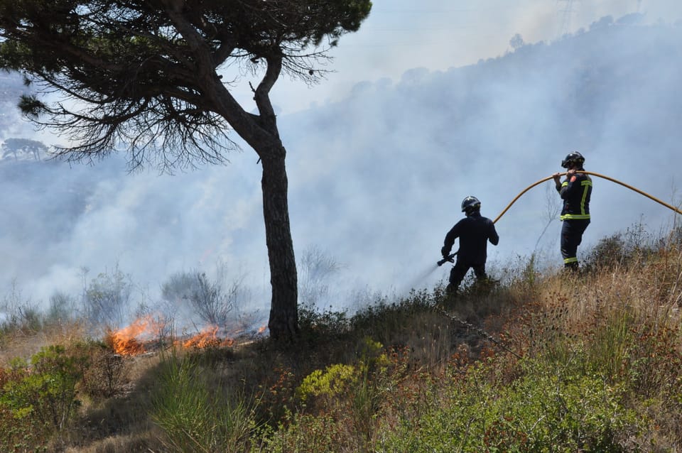 Collserola wildfire extinguished after burning 54.5 hectares