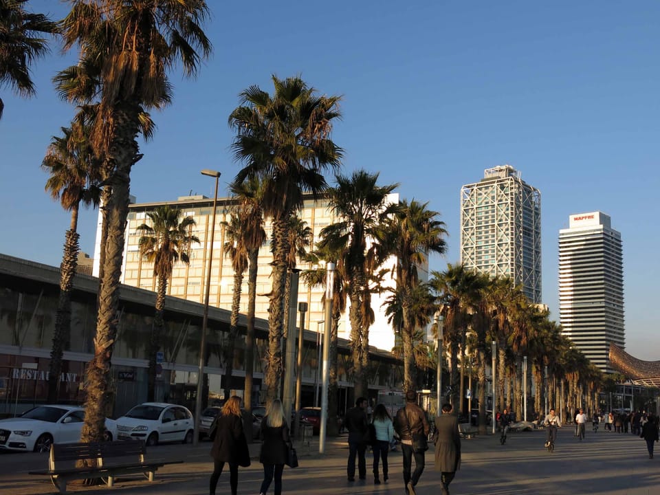 Hospital del Mar study links trauma to later illness