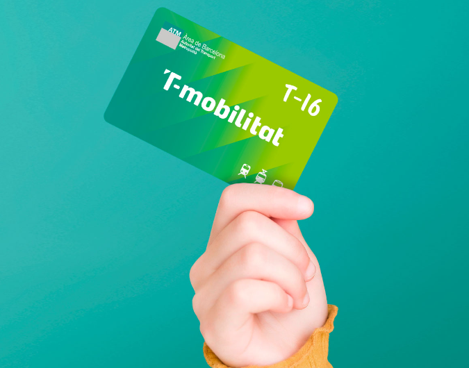 Adults Misusing Child's T-16 Card Face Three-Year Ban