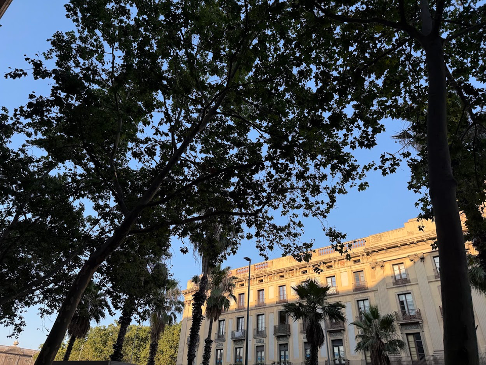 A view of residential buildings in Barcelona, with a focus on housing and community, illustrating the city's new mediation programme to prevent housing disputes.