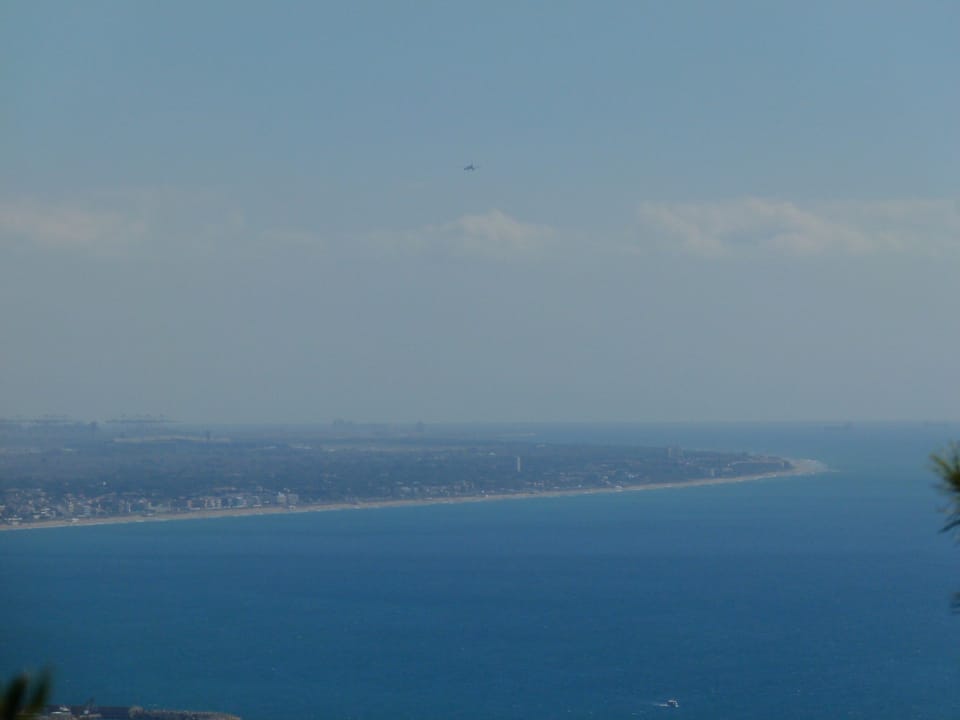 Aena to Buy Llobregat Wetlands for Airport Expansion