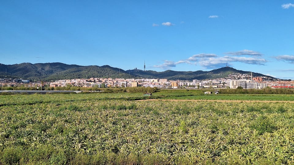 New apartment buildings under construction in Baix Llobregat, the metropolitan county south-west of Barcelona.