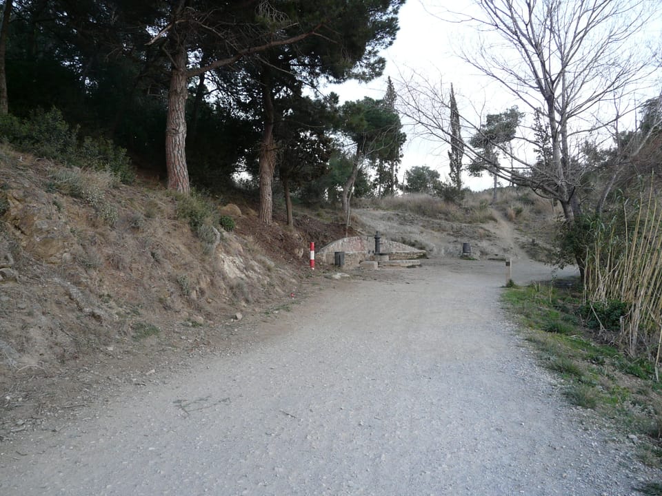 View of the closed Carretera de les Aigües in the Collserola Natural Park near Barcelona, with signage indicating restrictions due to African swine fever control measures.