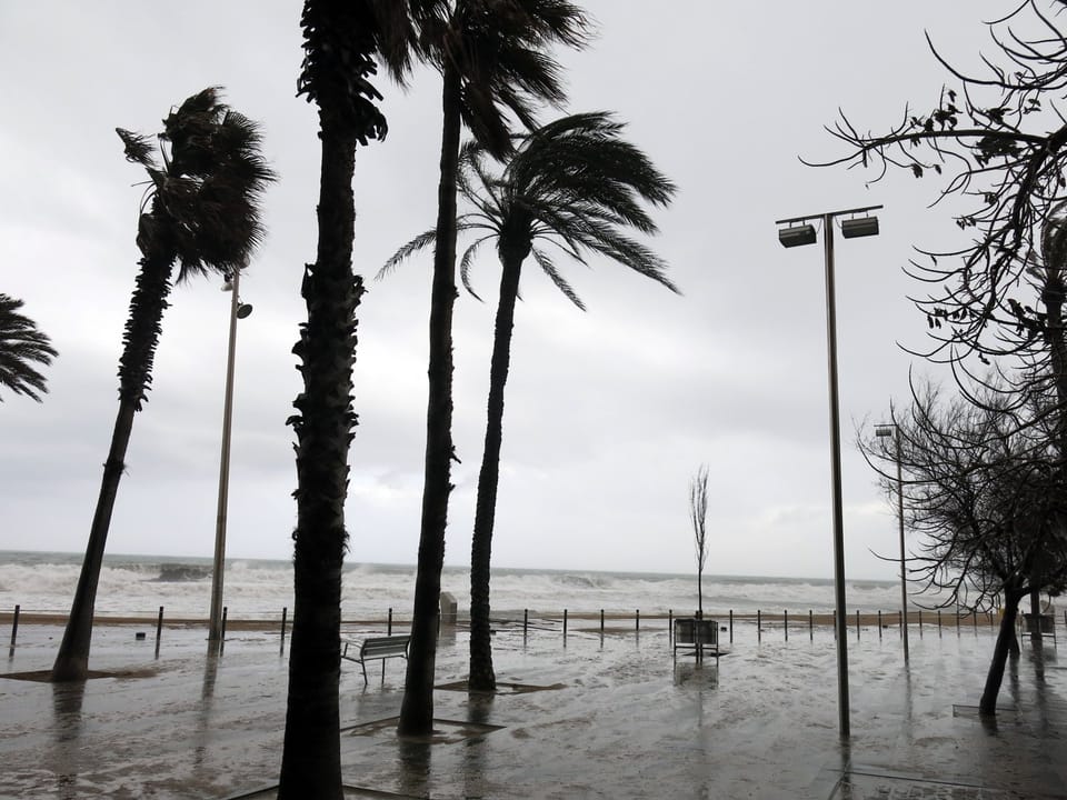 On the seafront promenade in Barceloneta, palm trees are bent by strong winds, and the grey sky hangs over rough, white-capped waves.