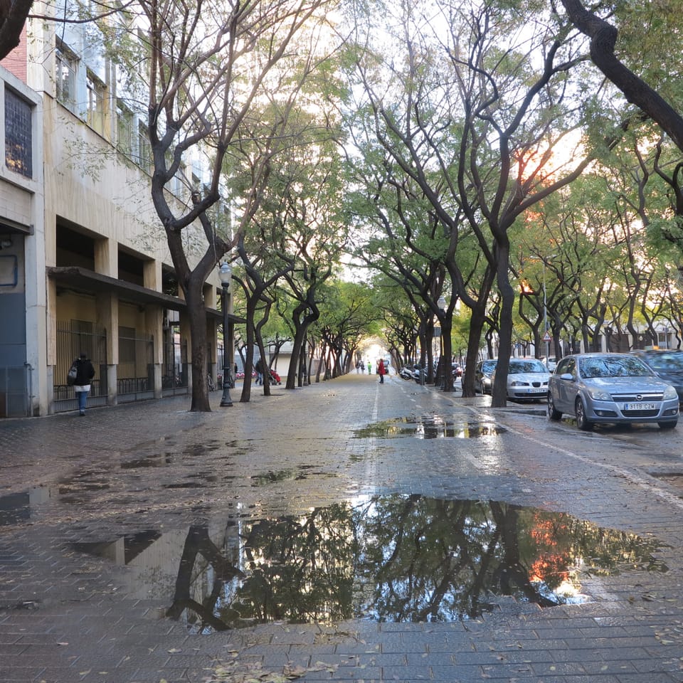 Businesses seek clearer rules for severe rain