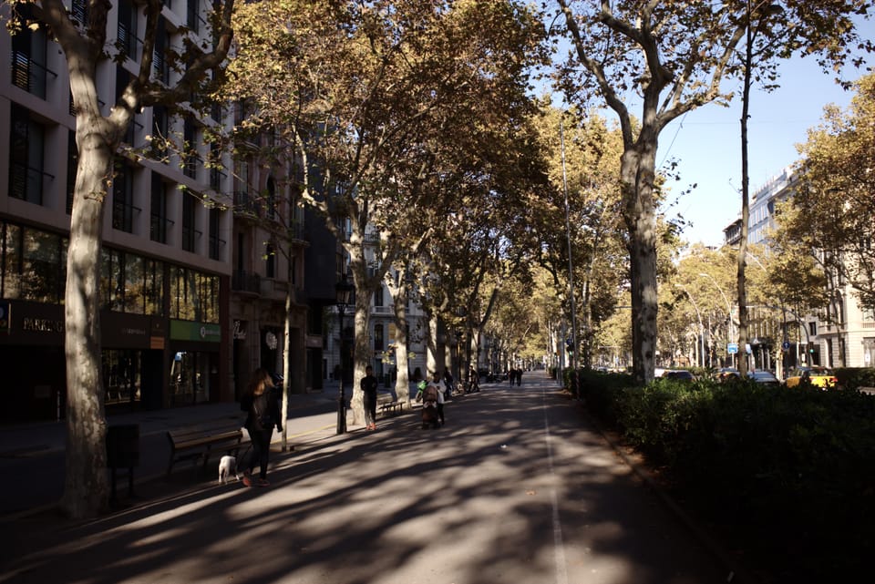 Catalan and Spanish Governments to Merge Citizen Service Desks