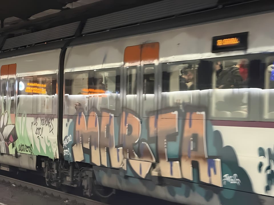 Nine graffiti vandals caught damaging Barcelona trains