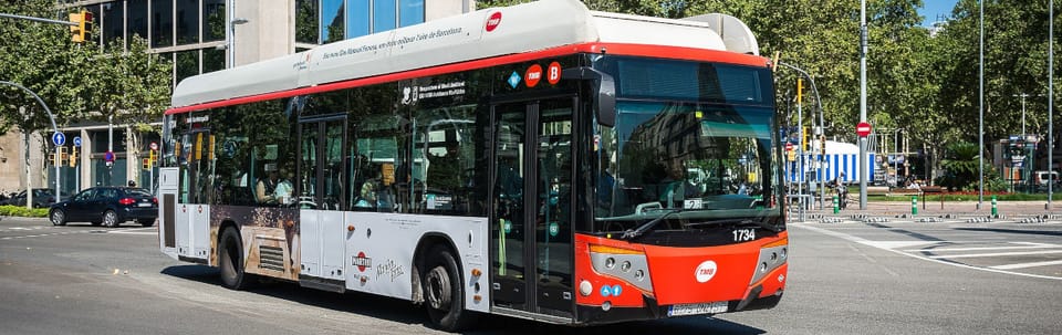 Sinkhole disrupts bus 183 in Torre Baró