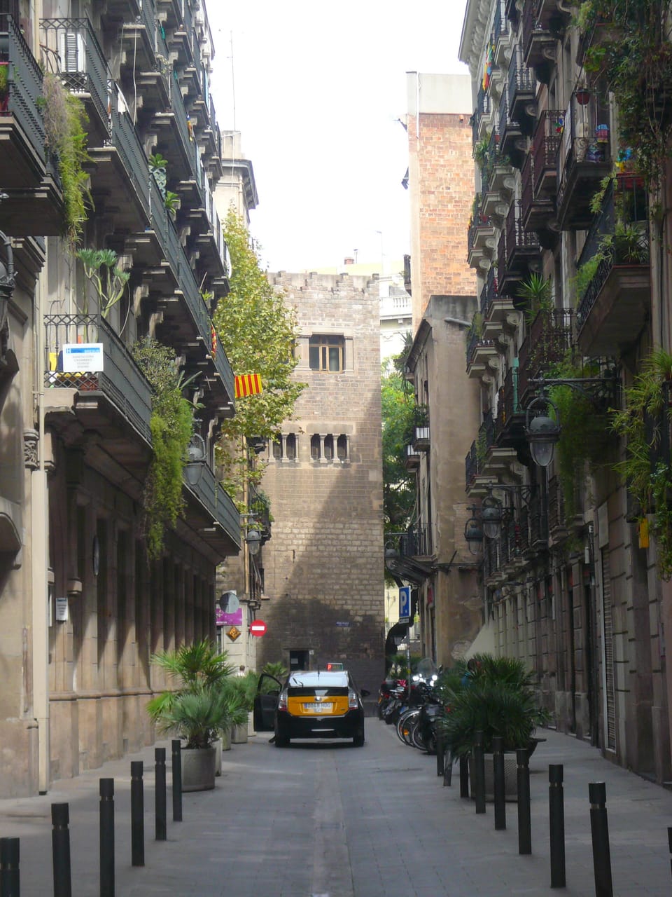 Two Men Arrested in Ciutat Vella Watch Theft
