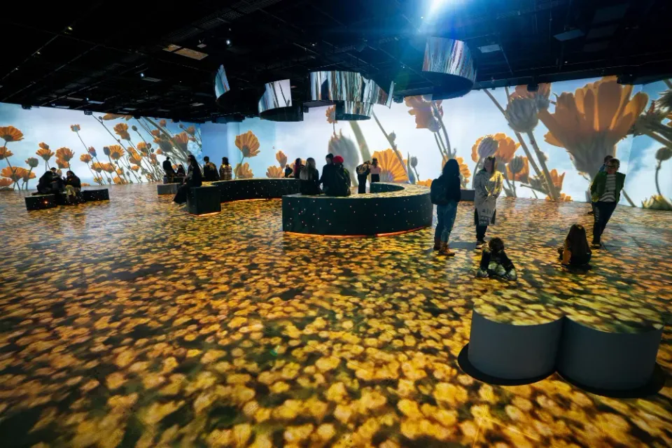 CaixaForum Barcelona launches immersive exhibition ‘We Are Nature’