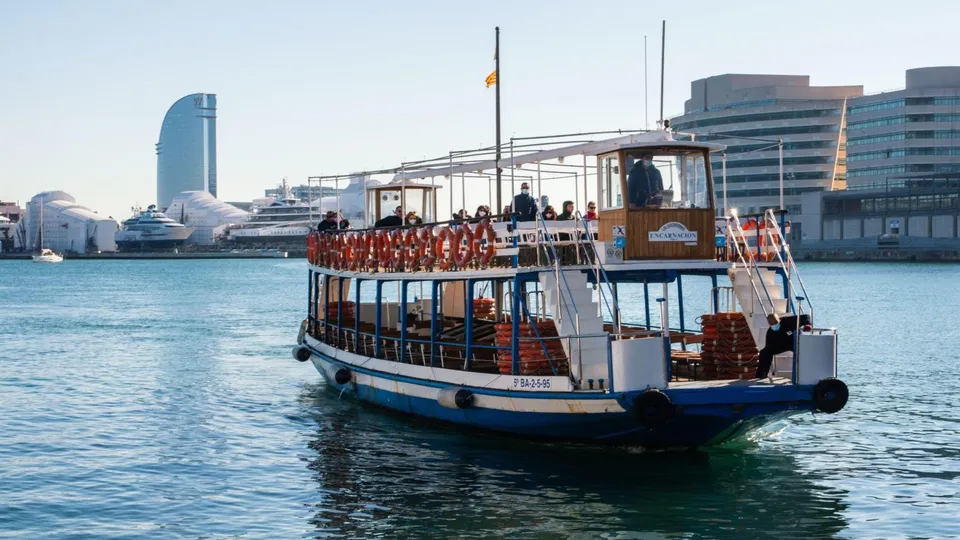 Endangered Basking Shark Sighted in Barcelona's Port Olímpic