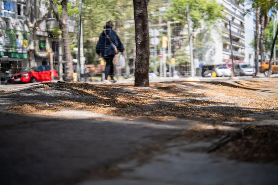 Cracks and uneven pavement on Rambla Guipúscoa in Barcelona, with a fenced-off area and trees.