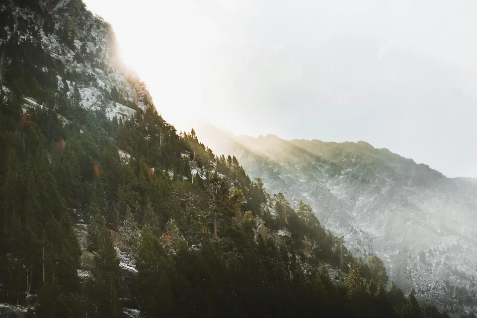 Photo by Andrea Rodríguez M. on Pexels