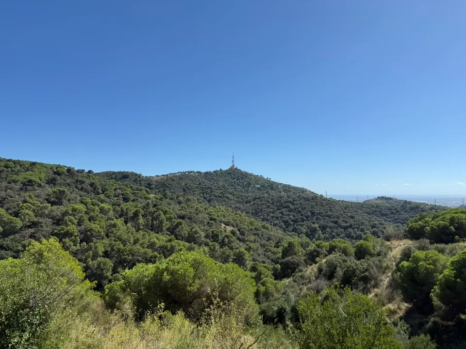 A closed entrance to the Parc Natural de la Serra de Collserola shows information about access restrictions linked to African swine fever controls.
